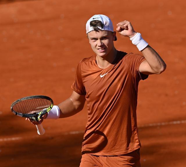 它们表明在 它们表明在